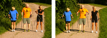 Erklären der Nordic Walking Technik